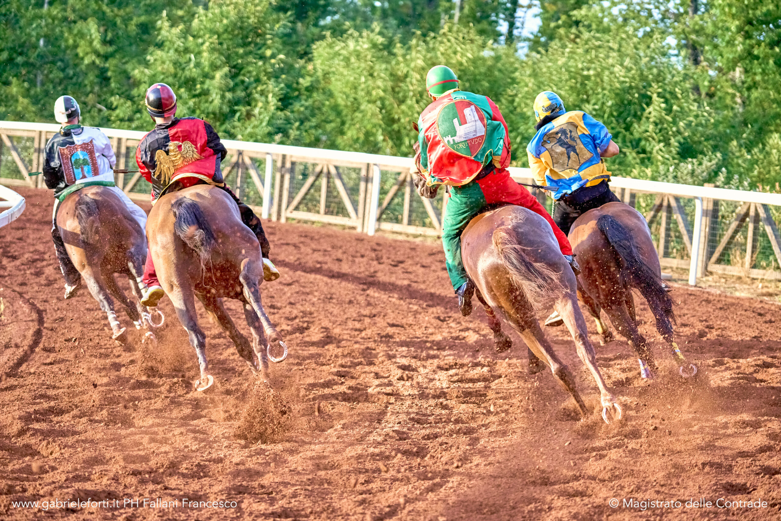 Palio 2025